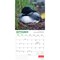 Canadian Geographic The Loon OFFICIAL | 2026 12 x 24 Inch (Hanging) Monthly Square Wall Calendar | Foil Stamped Cover